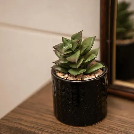 Amir Casa de hóspedes Vama Veche