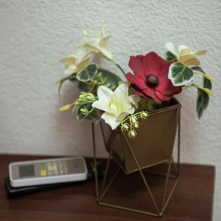 Amir Guest house